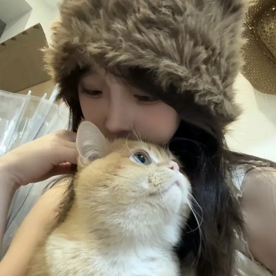晴晚之林