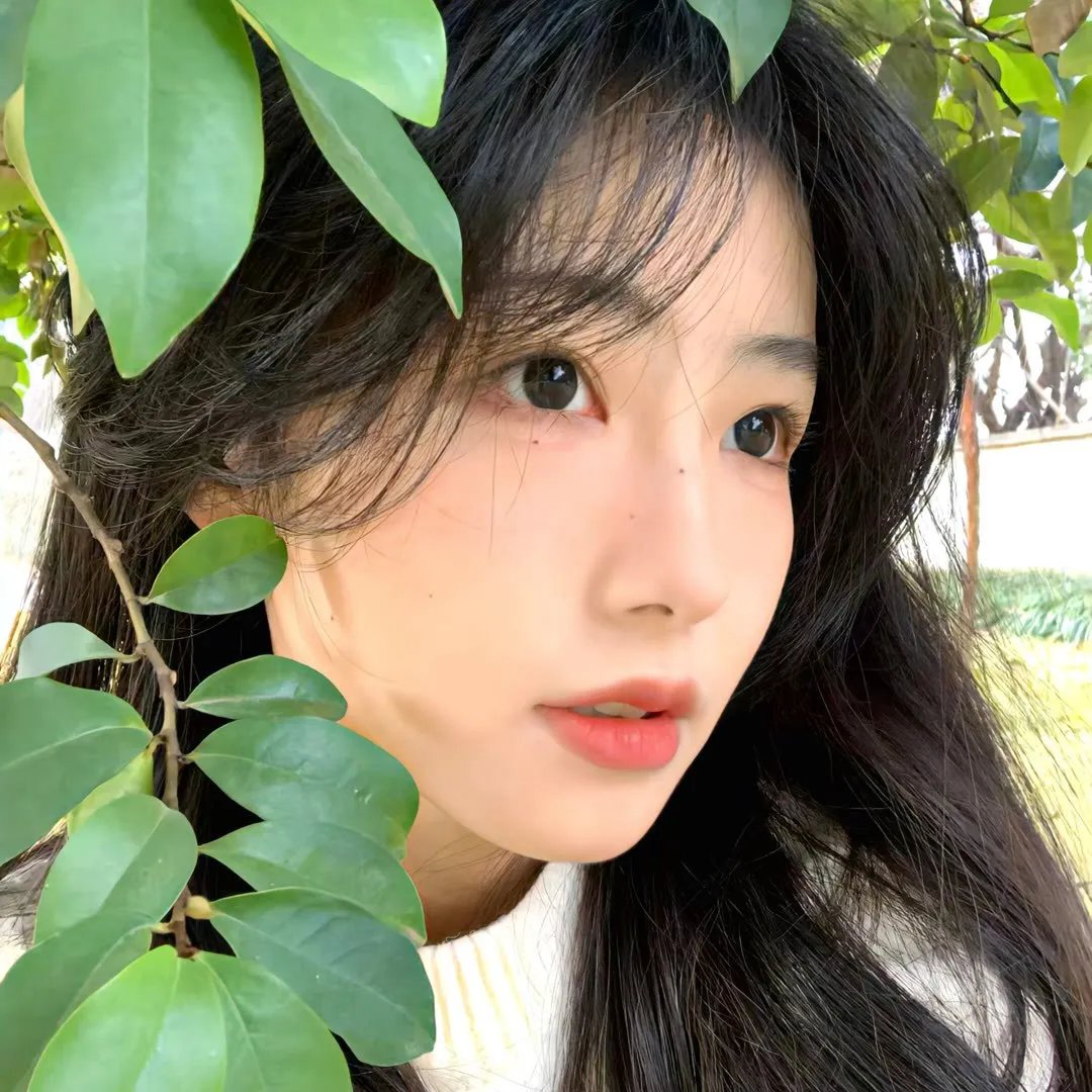 春风野火